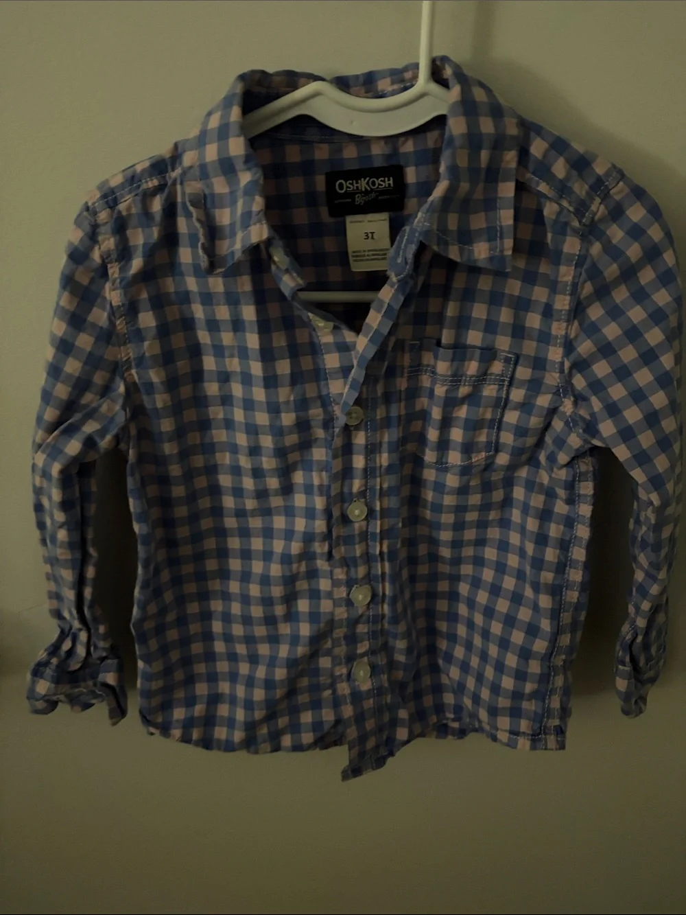 OshKosh B'gosh Blue and White Gingham Button-Down Shirt